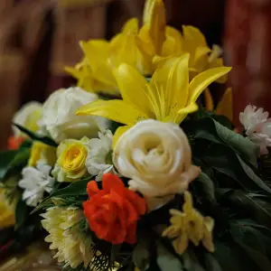 agr_5232-kopiya-2023_07_11_1247