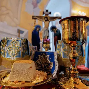 agr_9096-kopiya-2023_07_01_1647