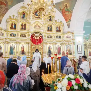 agr_0726-kopiya-2023_08_26_1118