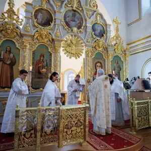 agr_3478-kopiya-2023_08_24_1041