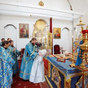 agr_5745-kopiya-2023_08_28_1238