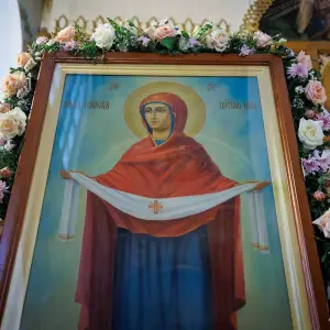 agr_9282-kopiya-2023_10_14_1337