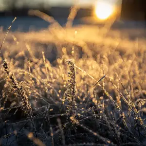 agr_1609-kopiya-2023_11_19_1525