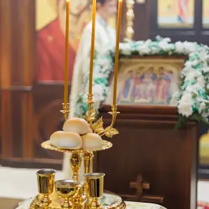 agr_5088-kopiya-2023_11_20_2139