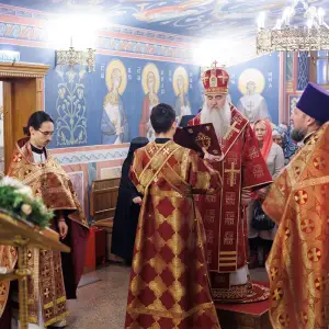 agr_7236-kopiya-2023_11_18_1335