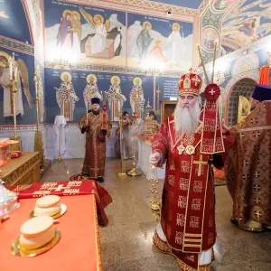 agr_7563-kopiya-2023_11_18_1336