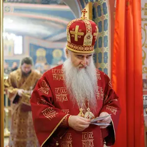 agr_8122-kopiya-2023_11_18_1337