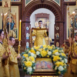 agr_9598-kopiya-2023_11_05_1444
