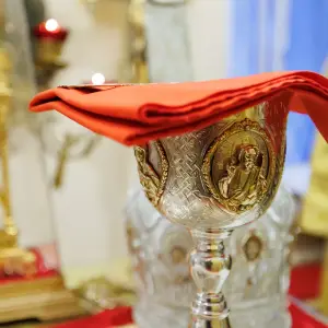 agr_4390-kopiya-2023_12_14_1728