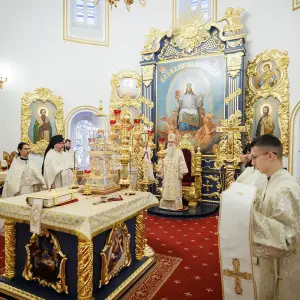 agr_4446-kopiya-2023_12_31_1253