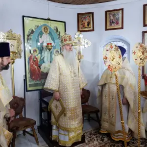 agr_9141-kopiya-2023_12_30_1440