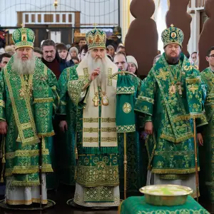 agr_9519-kopiya-2023_12_10_1416