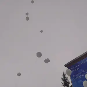 0e2ddfe6-5a70-47a7-87b0-fe05eebfa7fe-2024_01_11_1217