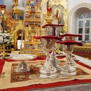 agr_4541-kopiya-2024_01_07_0434