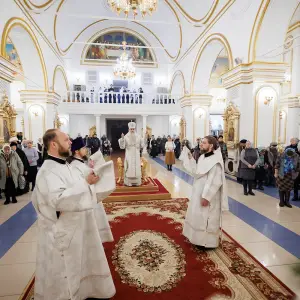 agr_7292-kopiya-2024_01_19_1309