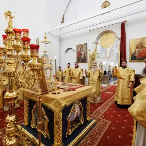 agr_7546-kopiya-2024_01_01_0339