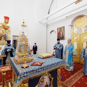 agr_5962-kopiya-2024_02_17_2145