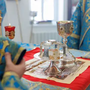 agr_8285-kopiya-2024_02_18_1429