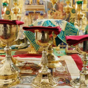 agr_3454-kopiya-2024_04_28_1416
