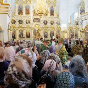 agr_4330-kopiya-2024_04_28_1417