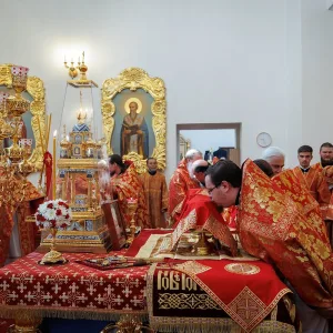 agr_9670-kopiya-2024_06_08_1321