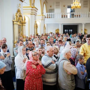 agr_4995-kopiya-2024_09_08_1408