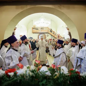 agr_2382-kopiya-2024_11_21_1633