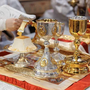 agr_3657-kopiya-2024_11_21_1635