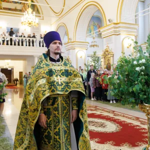 012-3181_2026_05_31_11.48