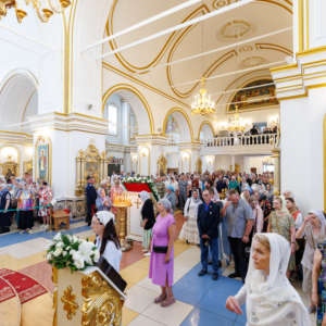 125-6102_2026_05_23_09.03