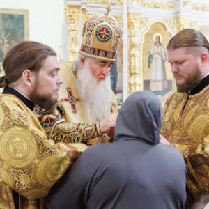 004-4041_2026_06_14_13.37