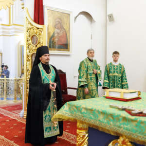 008-0289_2026_06_02_17.59