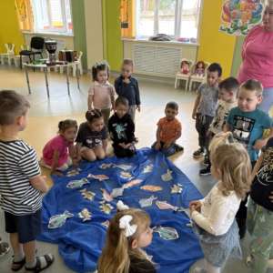 IMG_20260602_205441_076_2026_06_02_17.00