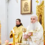 Божественная литургия в Спасо-Вознесенском кафедральном соборе г. Ульяновска